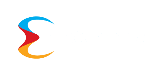 Partner 6